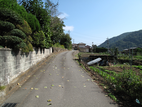 20171012hike (13)